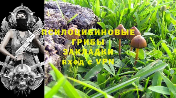 первитин Арсеньев