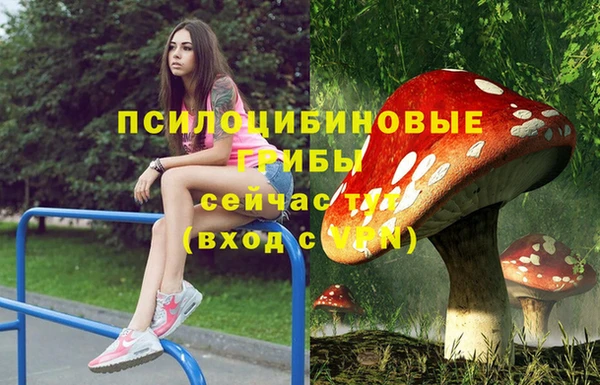 метадон Аркадак