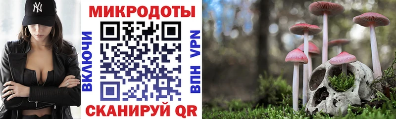 Псилоцибиновые грибы GOLDEN TEACHER блэк спрут ТОР Ипатово купить наркотик